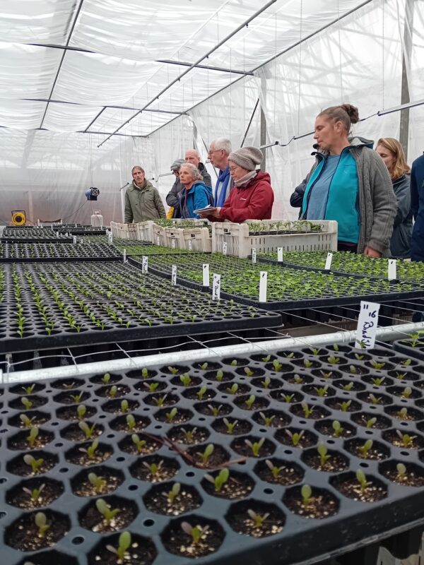 Meerdaagse cursus eigen opkweek